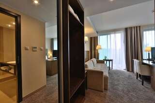 Отель HAVET Hotel Resort & Spa Дзвижино Стандартный двухместный номер с 1 кроватью-3